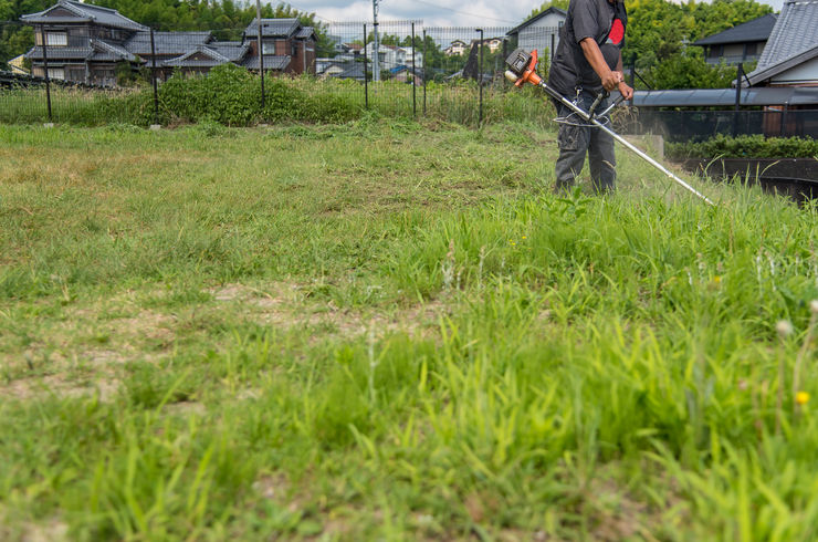 草刈り